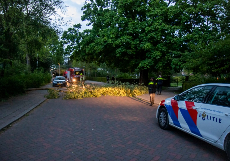 foto1.jpg