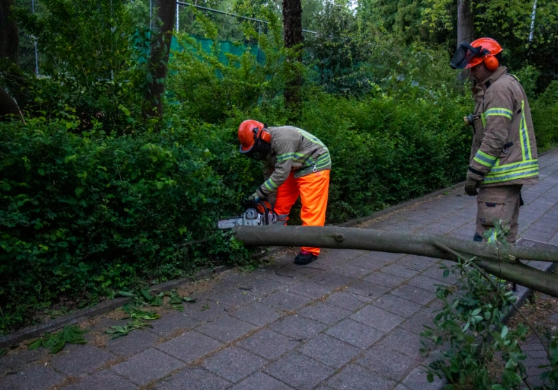 foto4.jpg