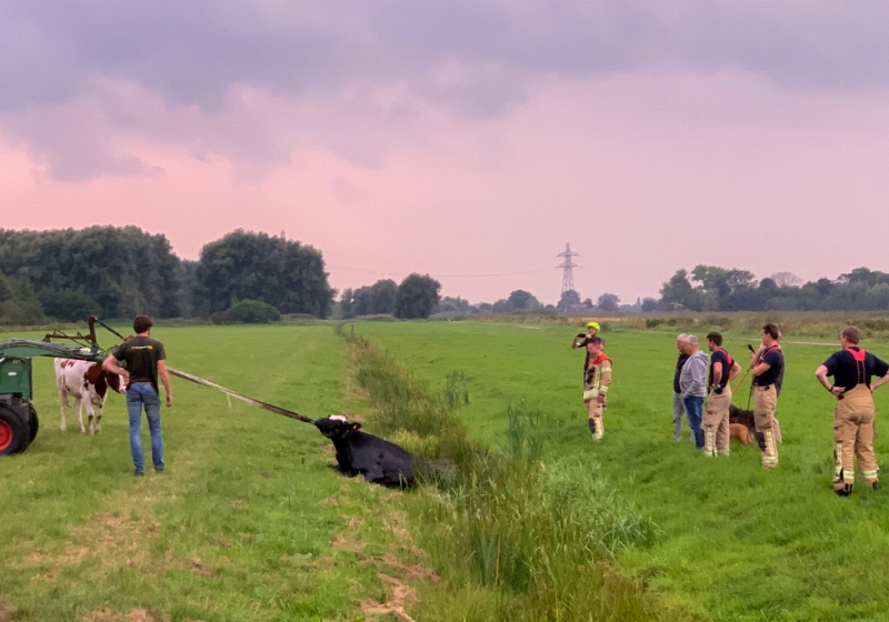foto1.jpg