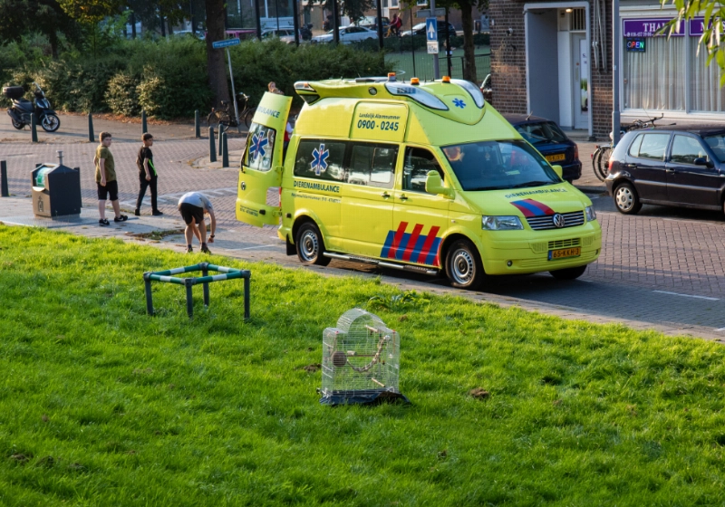foto2.jpg