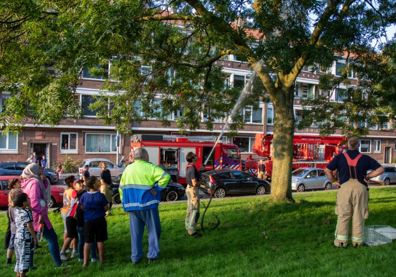 foto5.jpg