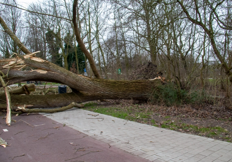 foto2.jpg