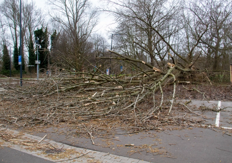 foto5.jpg