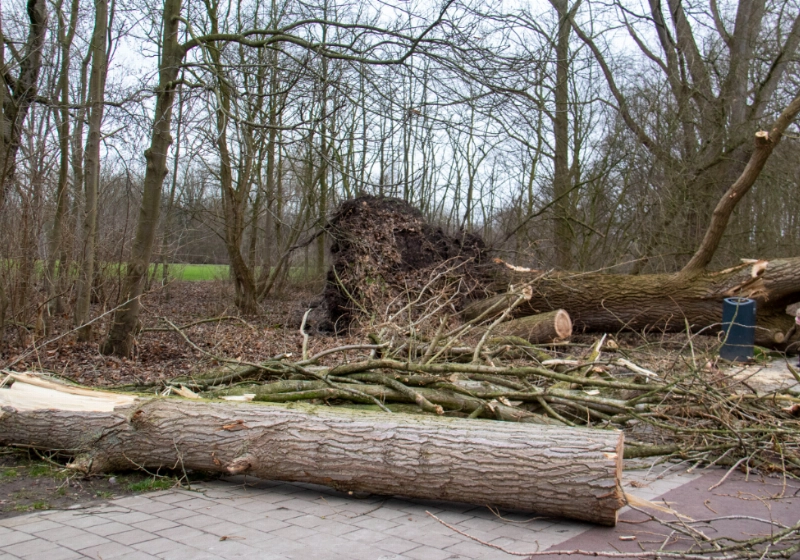 foto7.jpg