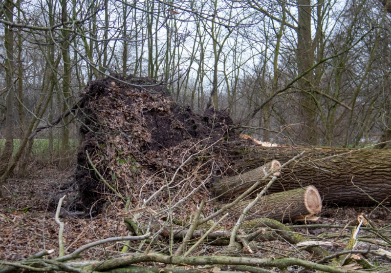 foto8.jpg