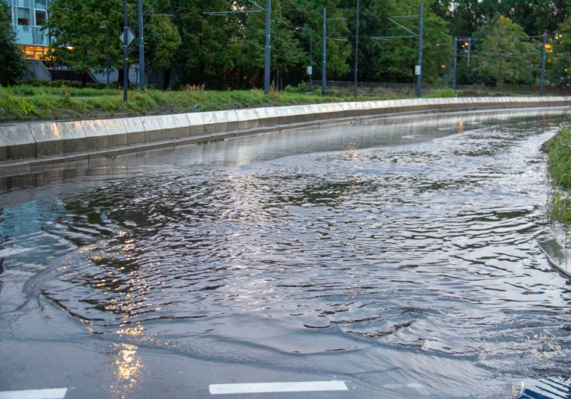 foto6.jpg