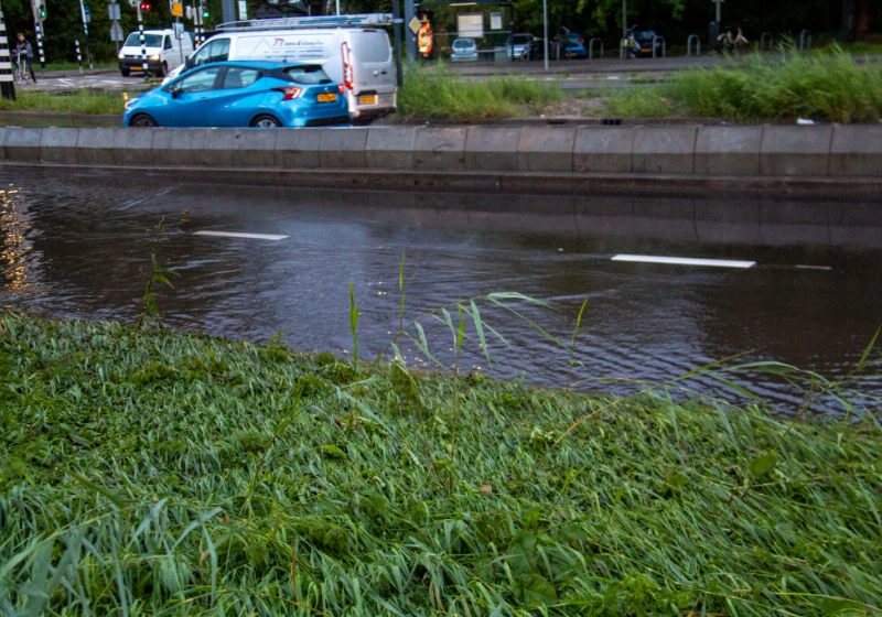 foto7.jpg