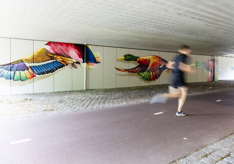 buro_goedwijs_sportparkbrug_-_graffiti_-4602.jpg
