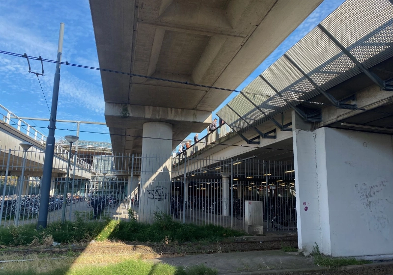 img_4256.jpeg