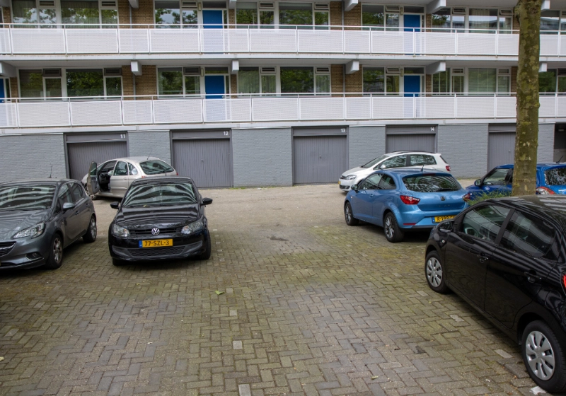 foto6.jpg