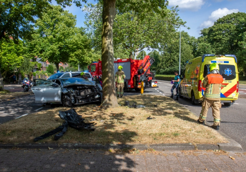 foto7.jpg