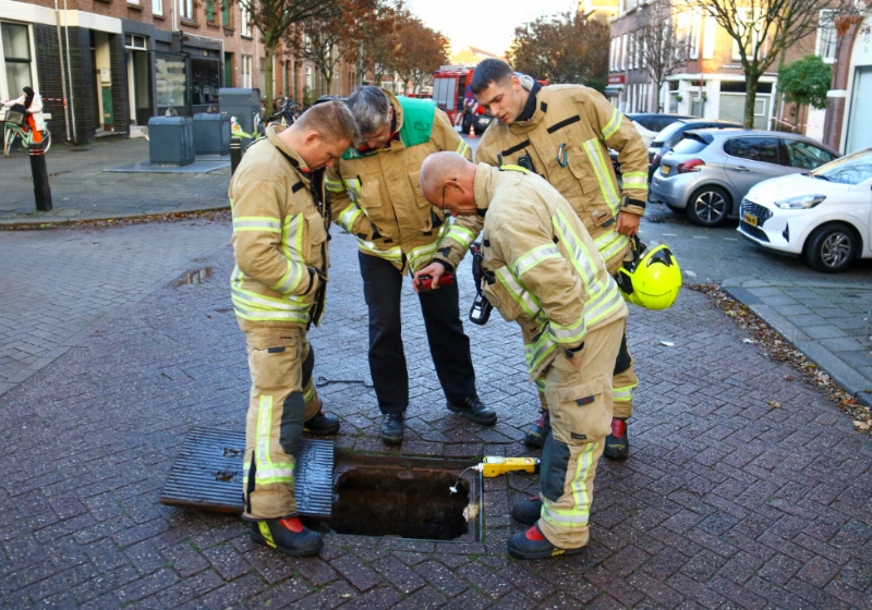 foto1.jpg