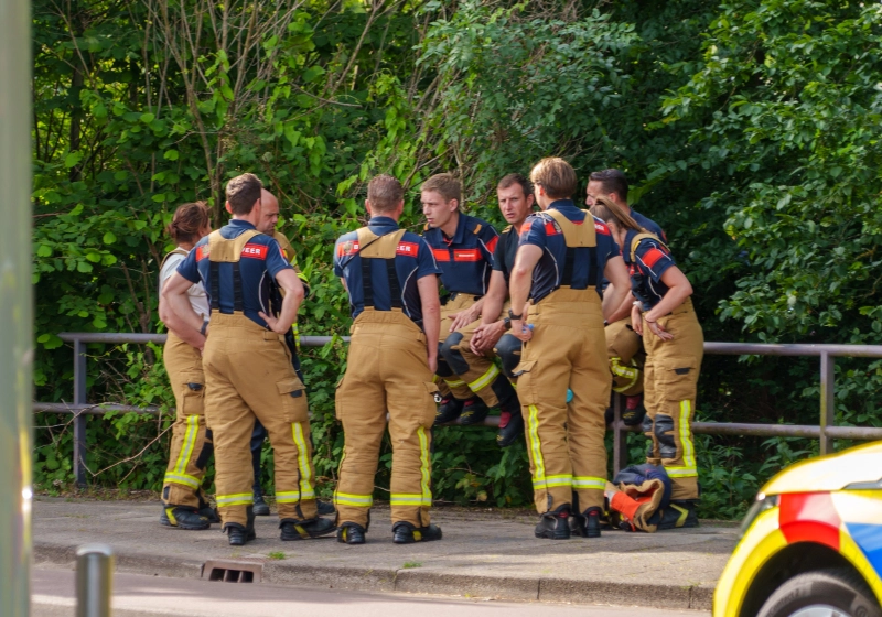 a421fe8847efac6b.jpg