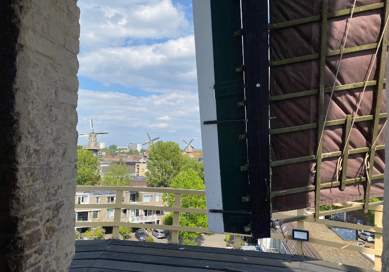 img-3714.jpeg