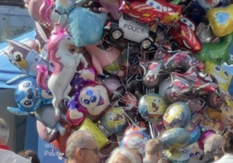 image1.jpeg